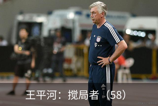 王平河：搅局者（5/8）