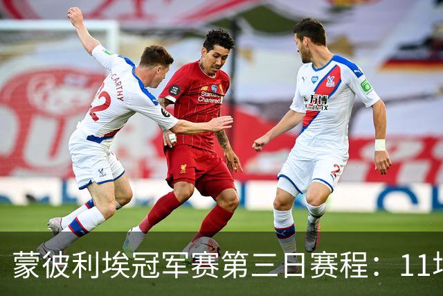 蒙彼利埃冠军赛第三日赛程：11场比赛，国乒参与4场，向鹏VS奥恰